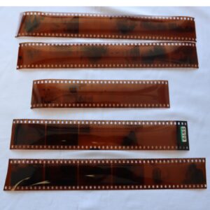 Color Negative Film Scanning Service